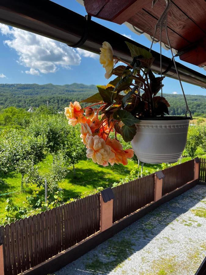 Casa De Vacanta Orsi Hotel Sovata Exterior foto